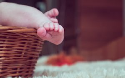 Monica Antinori testimonianza