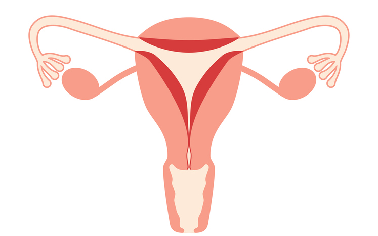 Esame endometrio: quando si fa e perché