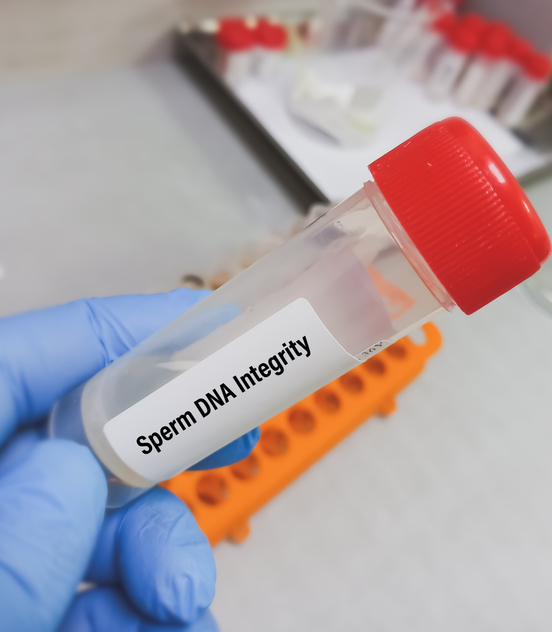 Frammentazione dna liquido seminale: cos’è e come si effettua questo test