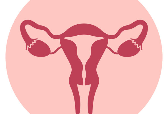 Arteria uterina, tutto quello che c’è da sapere
