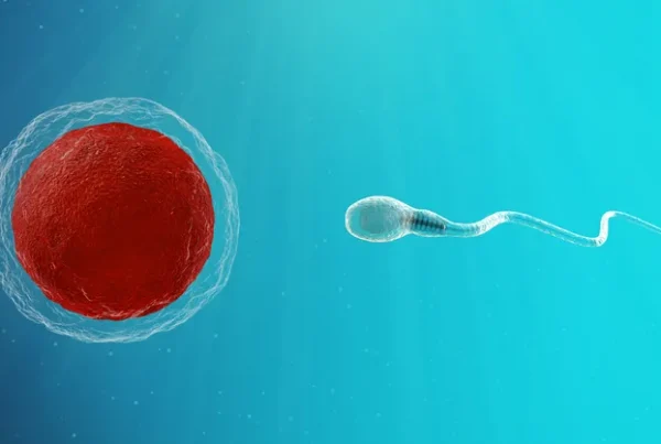 Iui percentuale di successo ogni 100 casi